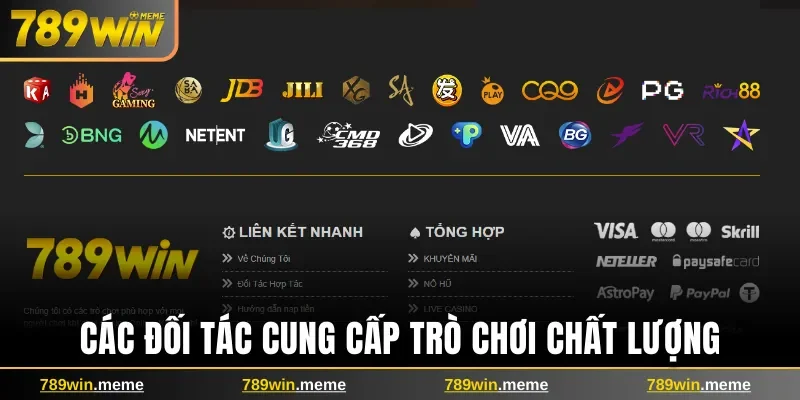 Các đối tác cung cấp trò chơi chất lượng trên 789win