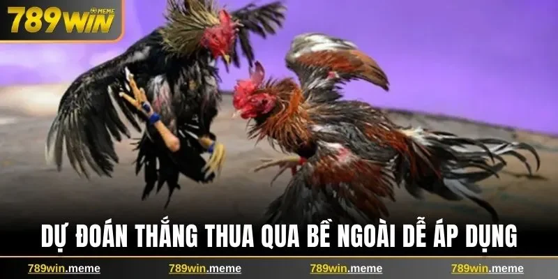 Dự đoán thắng thua qua bề ngoài dễ áp dụng
