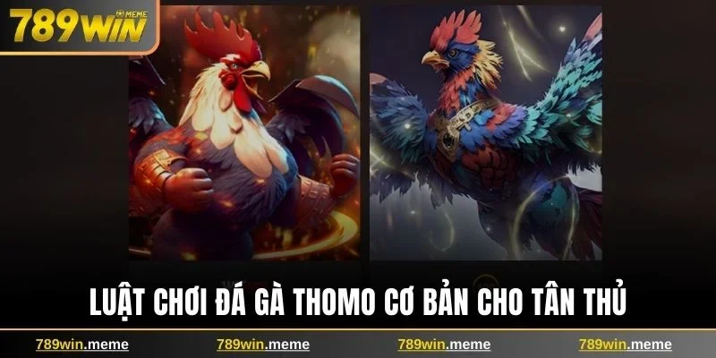 Luật chơi đá gà Thomo chuẩn chỉnh