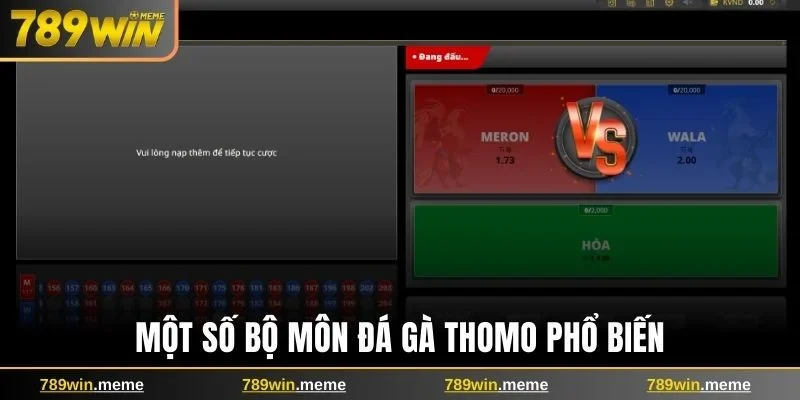 Một số bộ môn đá gà Thomo phổ biến
