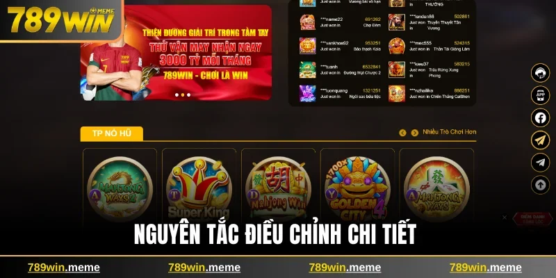 Nguyên tắc điều chỉnh chi tiết