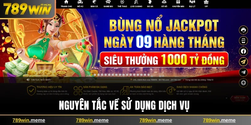 Nguyên tắc về sử dụng dịch vụ