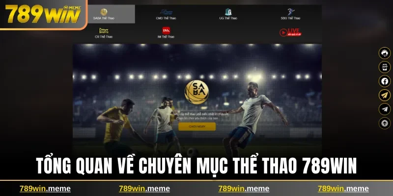Tổng quan về chuyên mục thể thao nhà cái 789win