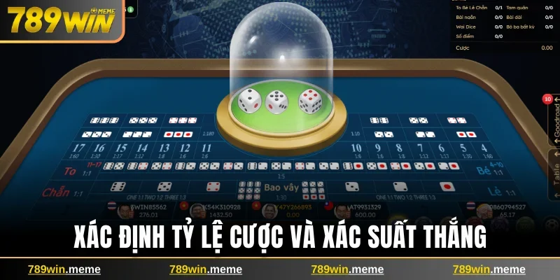 Xác định chuẩn tỷ lệ cược và xác suất thắng