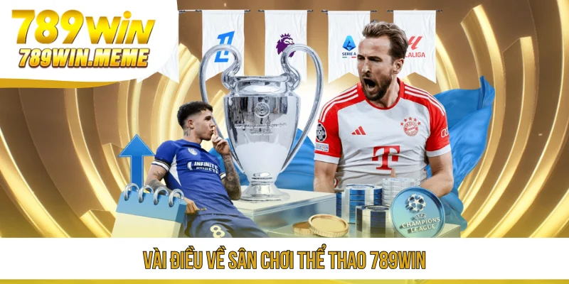 Vài điều về sân chơi thể thao 789win